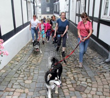 Ferienpassaktion - Unterwegs mit den Huskys