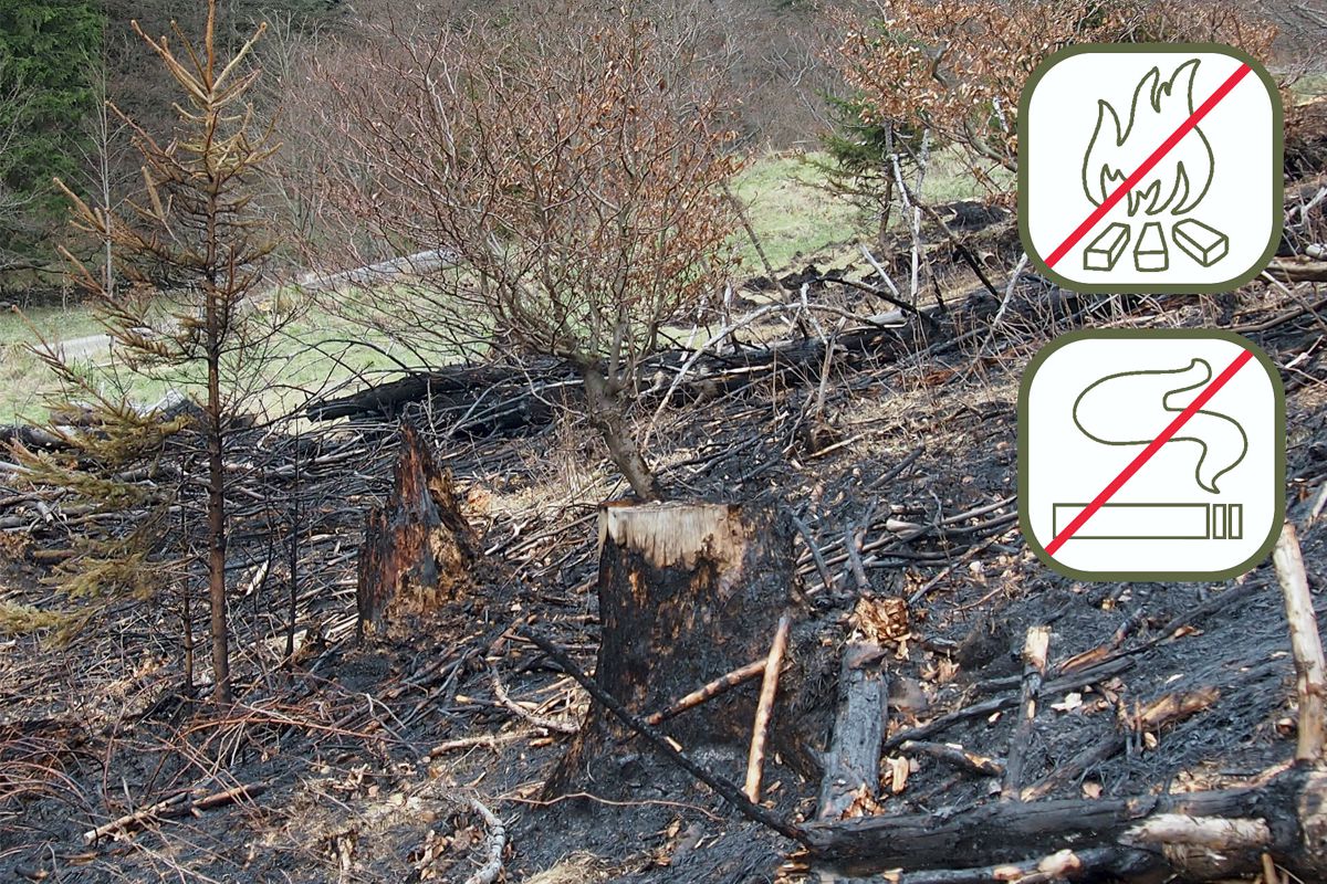 Waldbrandgefahr - kein offenes Feuer auf Grün- und Waldflächen entzünden