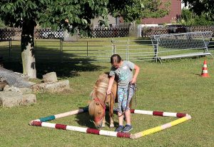 Ferienpassaktion bei Harzshettys - Pony musste angehalten werden