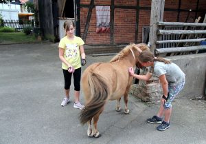 Ferienpassaktion bei Harzshettys - Die Ponys putzen und pflegen
