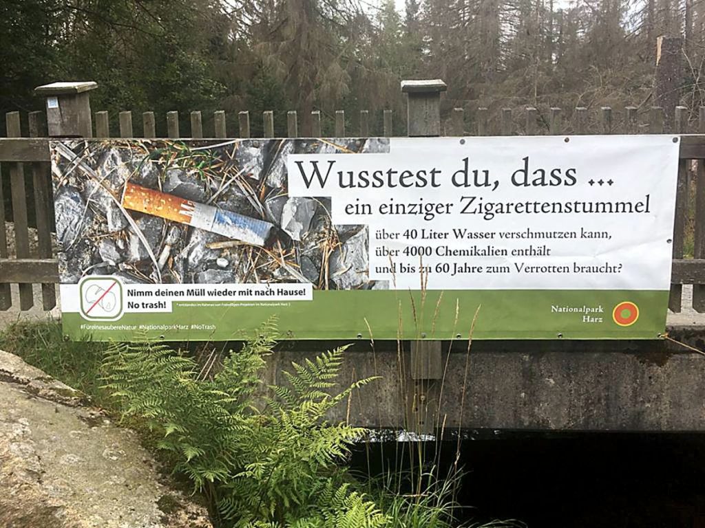 World Cleanup Day im Nationalpark Harz