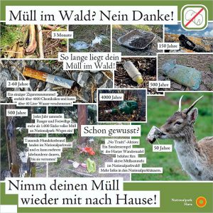 World Cleanup Day im Nationalpark Harz - Aufnahme: Nationalpark Harz