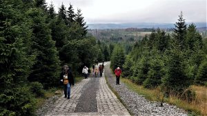 Grenzschützer Wanderung - Teilweise führt der Weg auf dem ehemaligen Kolonnenweg zum Brocken