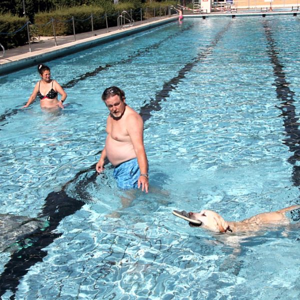Hundeschwimmtag Stadtbad Hornburg
