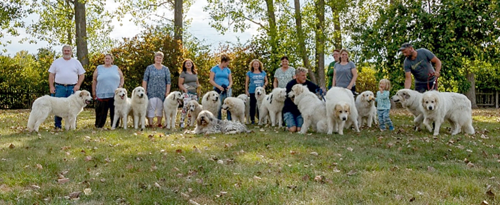 Klub für ungarische Hirtenhunde feiert sein 100 jährige Jubiläum